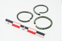 Foto von Bronzering (NHMW-PRAE-025354)